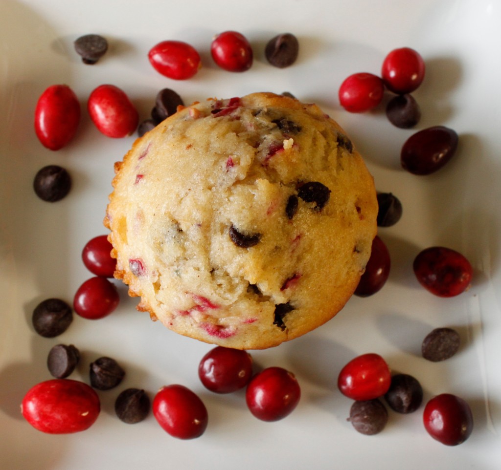 cranberry chocolate chip muffin