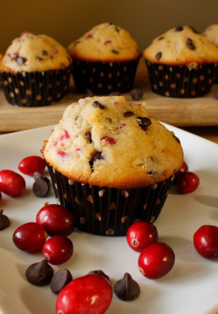 cranberry chocolate chip muffins